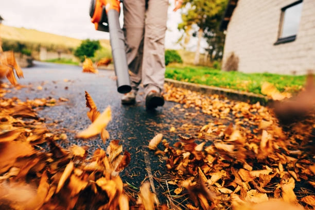 Tuin opruimen in de herfst: 5 slimme tips voor een nazomer-proof buitenruimte