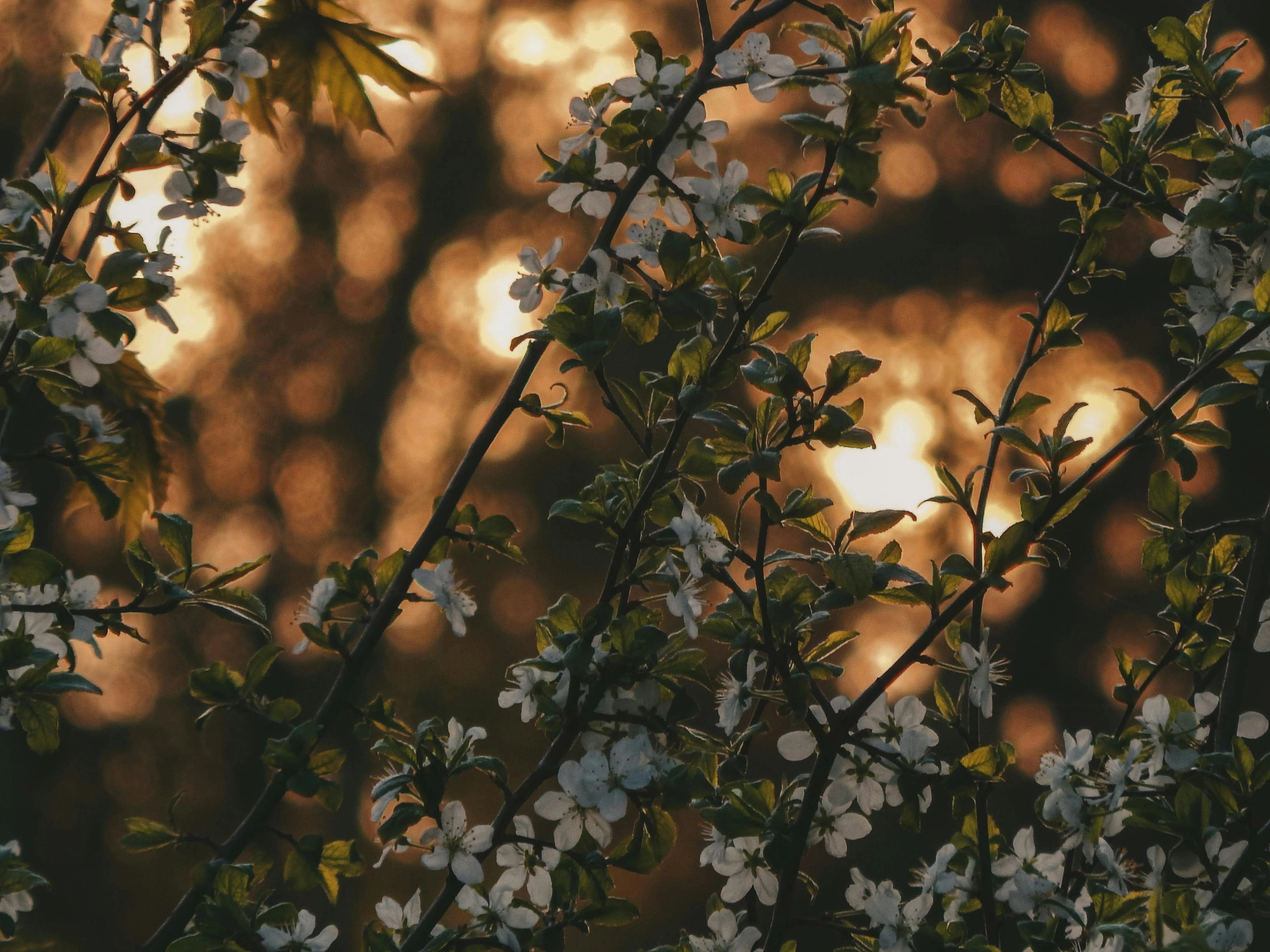 Het wordt weer langer licht: zo maak je van je tuin (of straat) de plek voor lange avonden